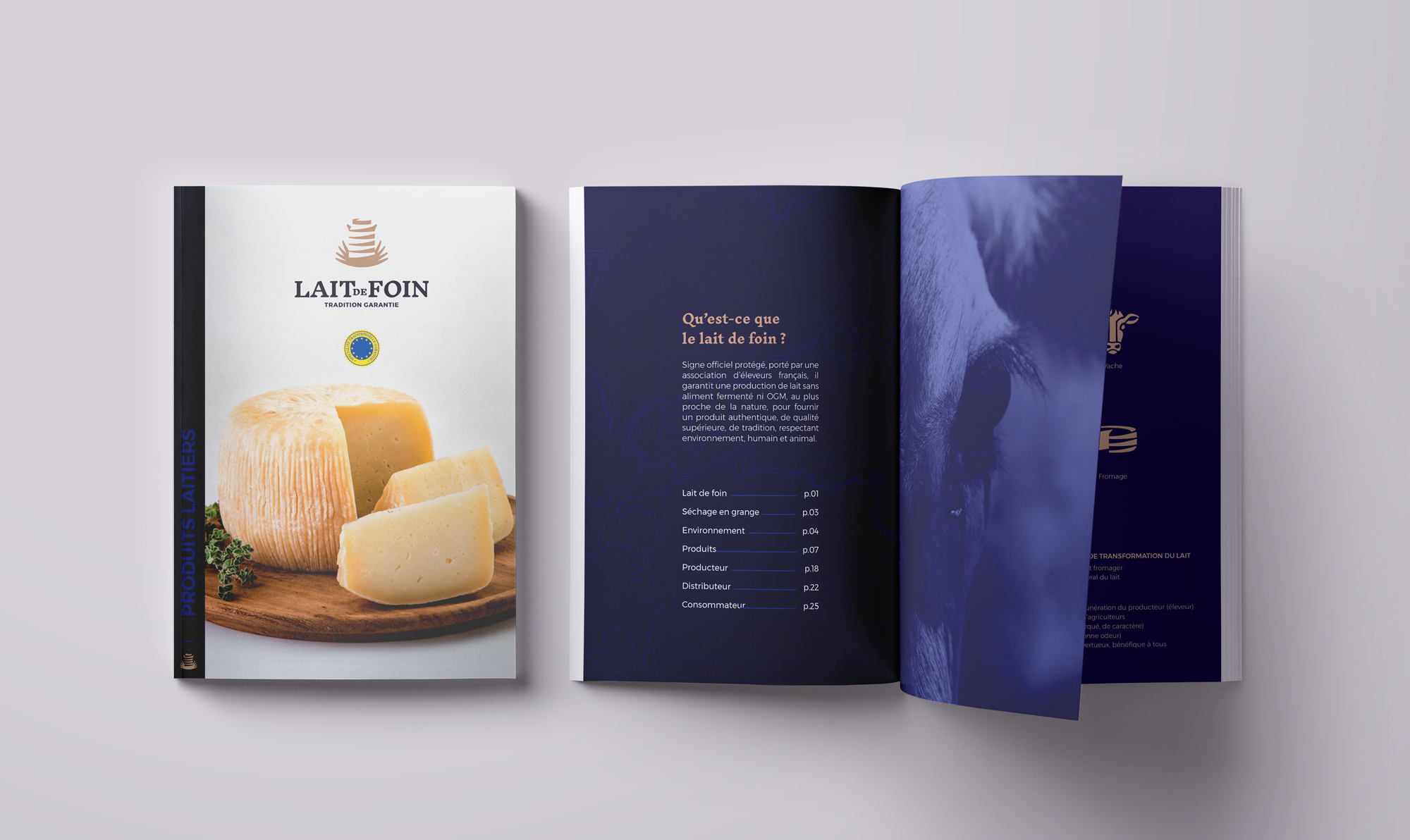 identité de marque produits laitiers Lait de Foin mise en page brochure